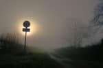 fog lolly