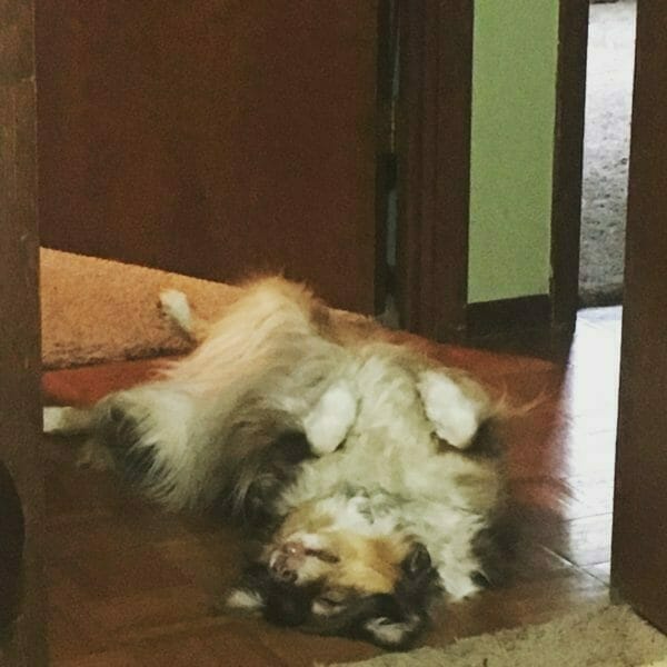 Sometimes you just gotta let it all hang out.