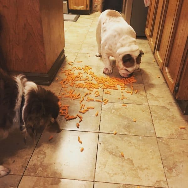 CRUNCH SMACK SLURP BURPWIGGLE MUNCH
